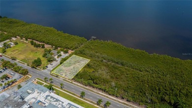Absolutely AMAZING almost 1/2 ACRE COMMERCIAL or RESIDENTIAL - photo 9