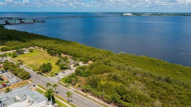 Absolutely AMAZING almost 1/2 ACRE COMMERCIAL or RESIDENTIAL - photo 10