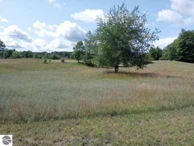 Lake Acreage For Sale in Williamsburg, Michigan