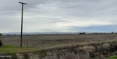 Great setting with Excellent View of Mt. Adams. Property has