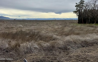 Great setting with Excellent View of Mt. Adams. Property has