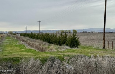 Great setting with Excellent View of Mt. Adams. Property has