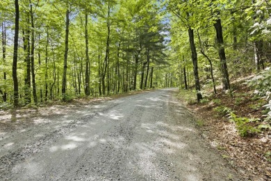 Lake Lot For Sale in Saluda, North Carolina