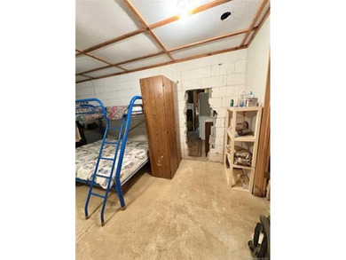 Waterfront with platform dock!!! This 2 bed, 2 bath cabin - photo 15