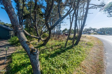 Build your dream home in this sought-after Oregon Coast coastal - photo 4