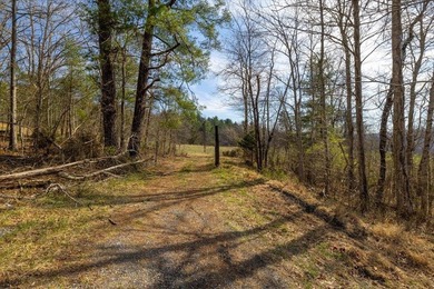 Tucked away in the peaceful McCoy area of Blacksburg, this - photo 10