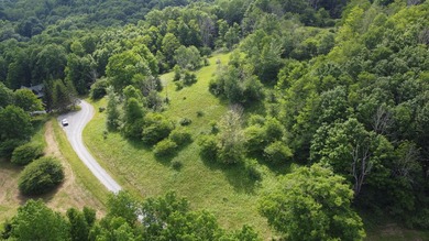 Stunning 5.30 acre lot with a large pond for fishing, floating - photo 1