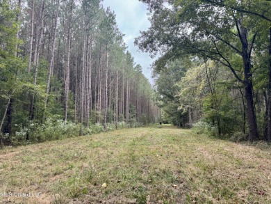 (private lake, pond, creek) Acreage For Sale in Gluckstadt Mississippi