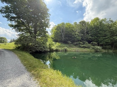 Stunning 5.30 acre lot with a large pond for fishing, floating - photo 2
