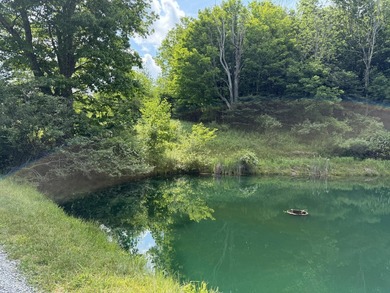 Stunning 5.30 acre lot with a large pond for fishing, floating - photo 3