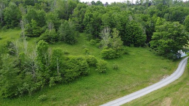 Stunning 5.30 acre lot with a large pond for fishing, floating - photo 5
