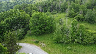Stunning 5.30 acre lot with a large pond for fishing, floating - photo 6