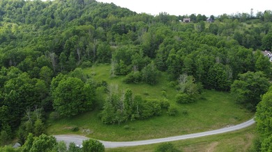 Stunning 5.30 acre lot with a large pond for fishing, floating - photo 7