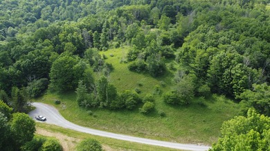 Stunning 5.30 acre lot with a large pond for fishing, floating - photo 8