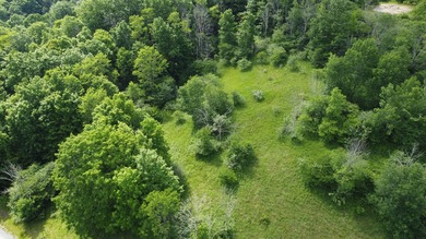 Stunning 5.30 acre lot with a large pond for fishing, floating - photo 9