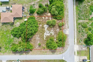 INVESTOR & BUILDER ALERT! This oversized 15,444 sqft (0 - photo 4