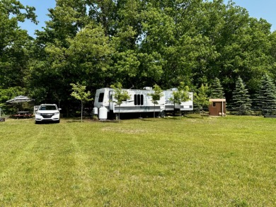 (private lake, pond, creek) Lot For Sale in Hesperia Michigan