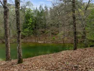 Lot 28 Sipsey Overlook is your escape to a  peaceful getaway in - photo 5