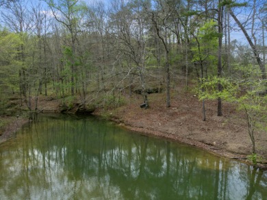 Lot 28 Sipsey Overlook is your escape to a  peaceful getaway in - photo 6