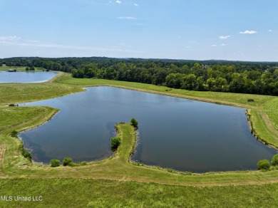 Lake Acreage For Sale in Flora, Mississippi