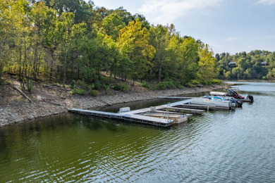 OPEN THIS SATURDAY 9:30 to 11:30am CENTRAL TIME!  Come visit:) - photo 25