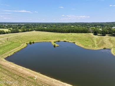 Lake Acreage For Sale in Flora, Mississippi