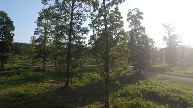 Lake Ouachita Acreage For Sale in Story Arkansas