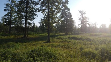 This peaceful and quiet 3.74-acre lot is located just 1.5 north - photo 2