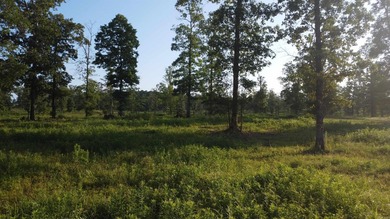 This peaceful and quiet 3.74-acre lot is located just 1.5 north - photo 3