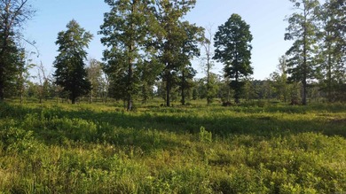 This peaceful and quiet 3.74-acre lot is located just 1.5 north - photo 4