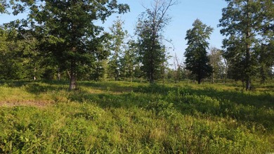 This peaceful and quiet 3.74-acre lot is located just 1.5 north - photo 5