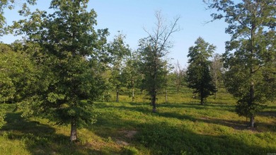 This peaceful and quiet 3.74-acre lot is located just 1.5 north - photo 6