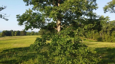 This peaceful and quiet 3.74-acre lot is located just 1.5 north - photo 8