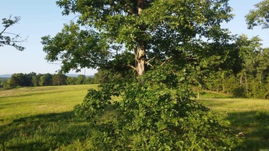 This peaceful and quiet 3.74-acre lot is located just 1.5 north - photo 9