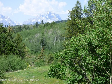 At the entrance to Buffalo Valley this Teton Wilderness classic - photo 9