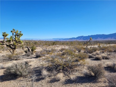 Lake Mead Lot For Sale in Meadview Arizona