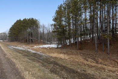 This 2.88-acre lot has a strong balance of usable land and - photo 12