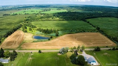 (private lake, pond, creek) Acreage For Sale in Carsonville Michigan