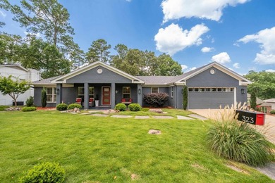 Enjoy lake living at its finest in this beautifully remodeled - photo 3
