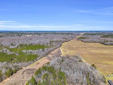 This 132+- acre property is a perfect blend of productive - photo 2