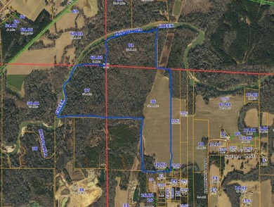 This 132+- acre property is a perfect blend of productive - photo 10