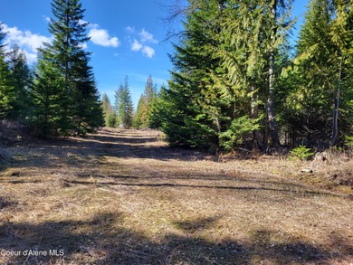 Coeur d Alene Lake Acreage For Sale in Harrison Idaho