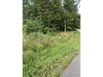 Lake Lot Off Market in Johnson City, Tennessee