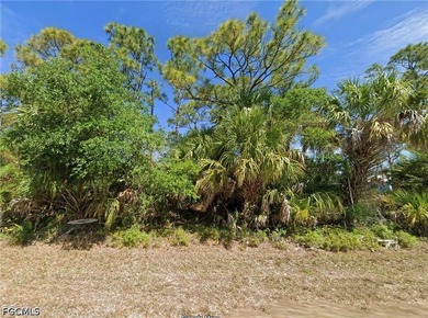 Great lot to build your dream home in this beautiful and quiet - photo 3