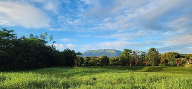 An extraordinary 7.458-acre canvas on Kauai's prestigious North - photo 4