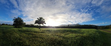 An extraordinary 7.458-acre canvas on Kauai's prestigious North - photo 5