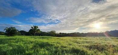 An extraordinary 7.458-acre canvas on Kauai's prestigious North - photo 6