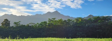 An extraordinary 7.458-acre canvas on Kauai's prestigious North - photo 7