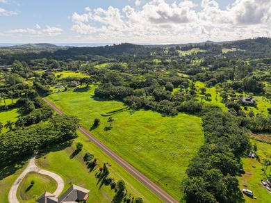 An extraordinary 7.458-acre canvas on Kauai's prestigious North - photo 10