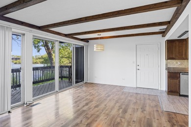 Great view of lake from spacious balcony and wall of windows - photo 7